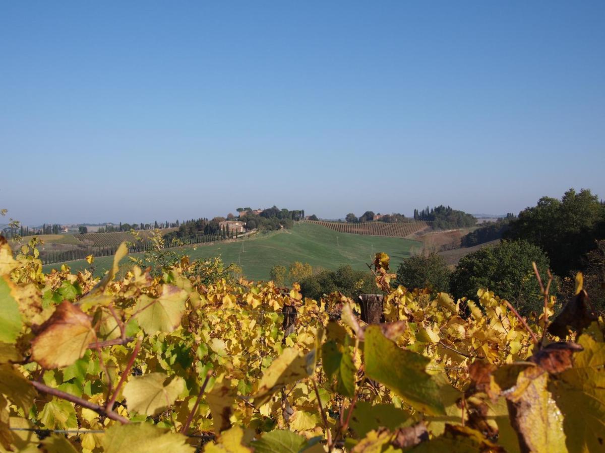 Agriturismo Poggiarellino - Montalcino Exterior photo